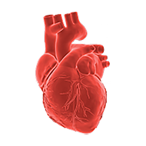 cropped-KCHRS-Heart.png